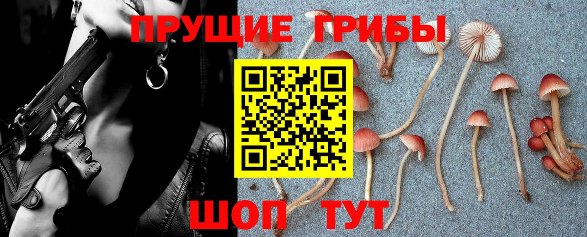 Шадринск  Галлюциногенные грибы прущие грибы  Вход с VPN 